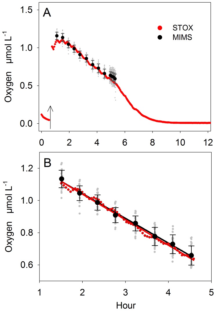 Figure 5