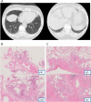 Fig. 2