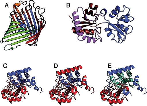 Fig. 4