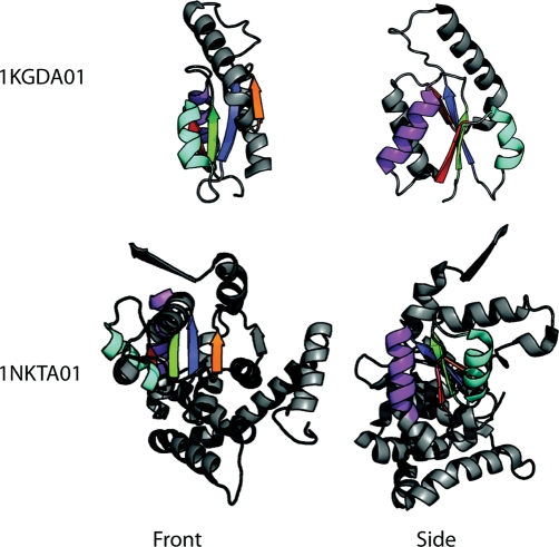 Fig. 3