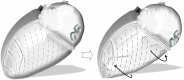 Figure 10.