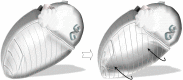 Figure 9.