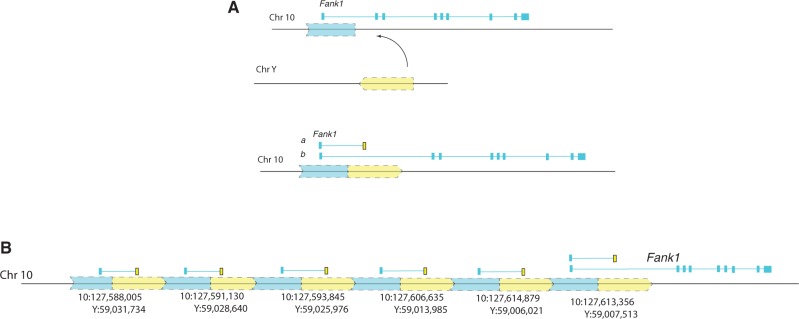 Fig. 4.