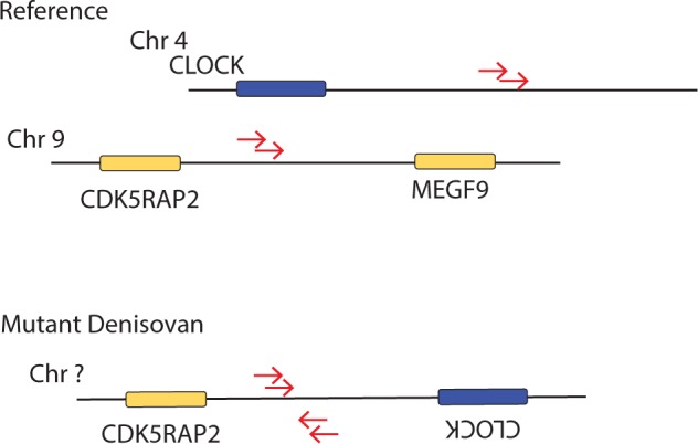 Fig. 3.