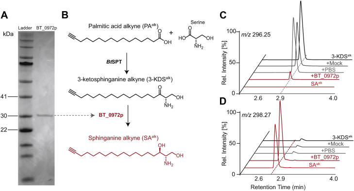 Fig. 3