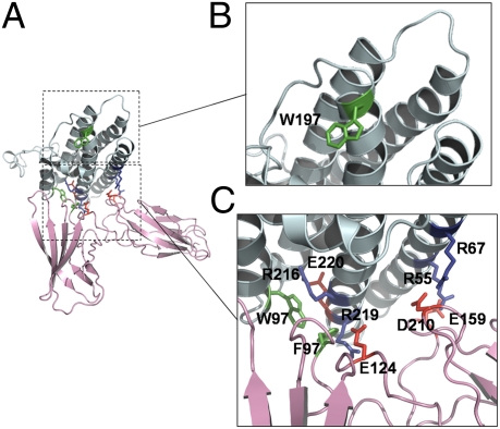 Fig. 2.