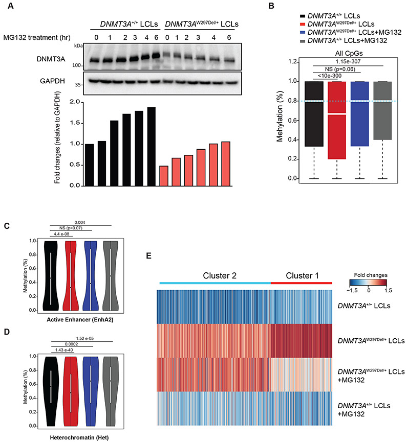 Figure 4: