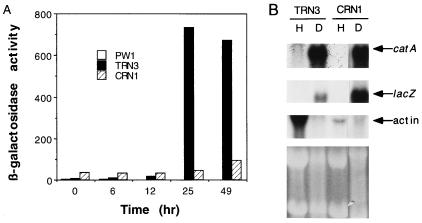 FIG. 3