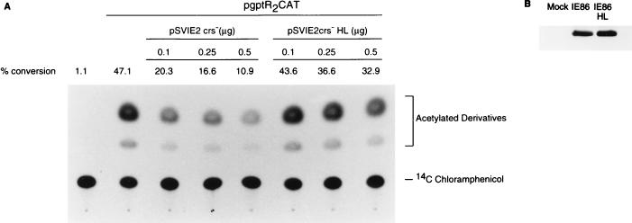 FIG. 8