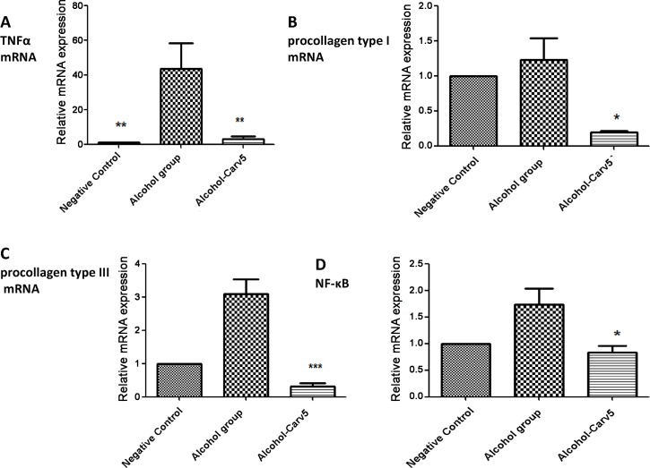 Fig 10