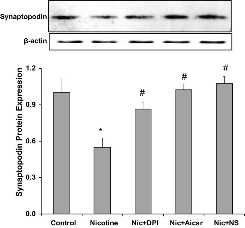 Figure 7.