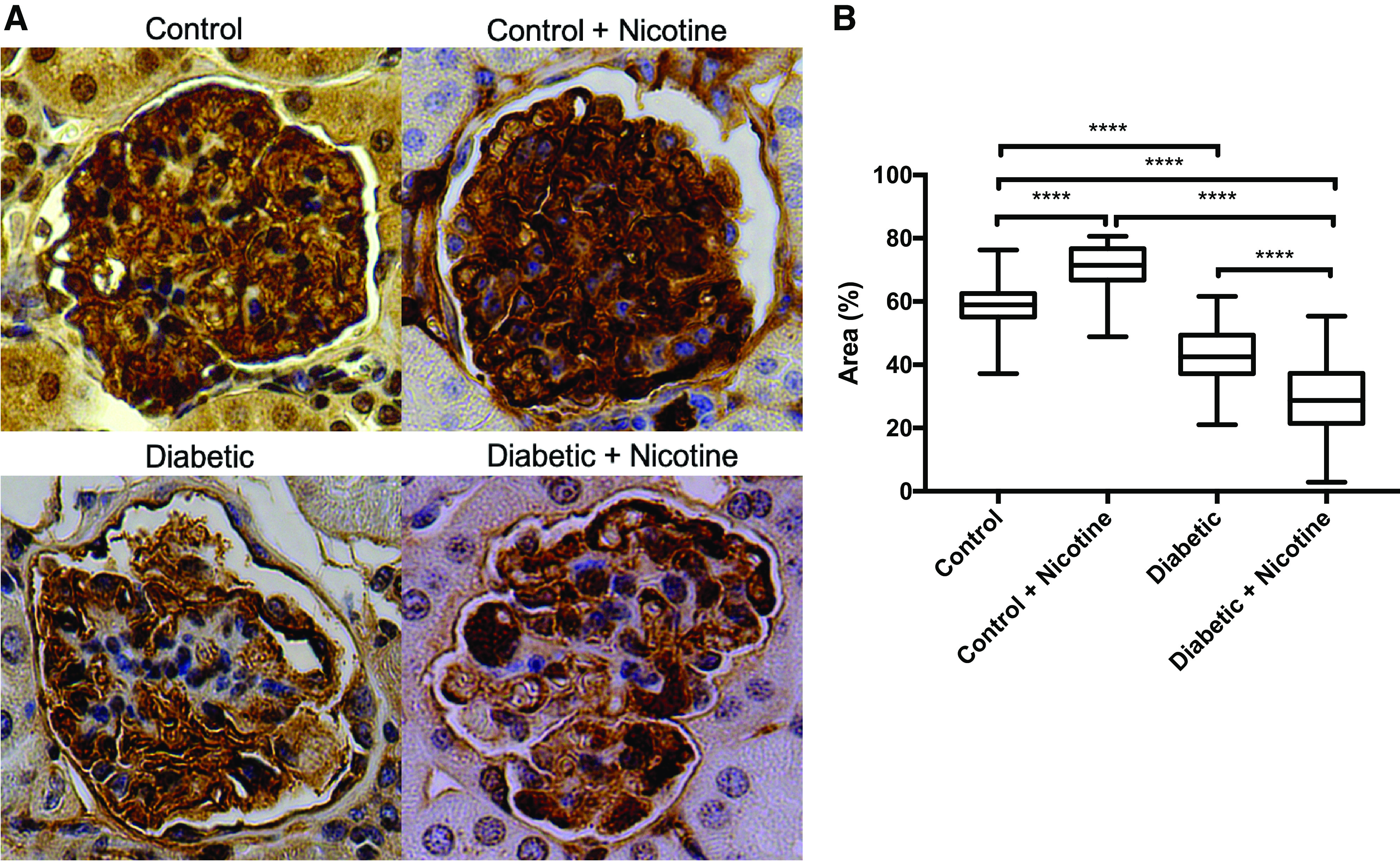 Figure 11.