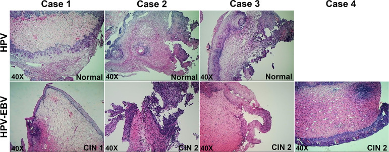 Figure 2