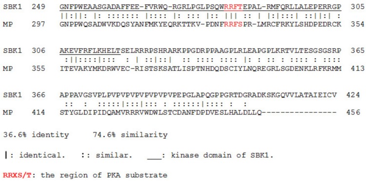 Figure 5—figure supplement 1.