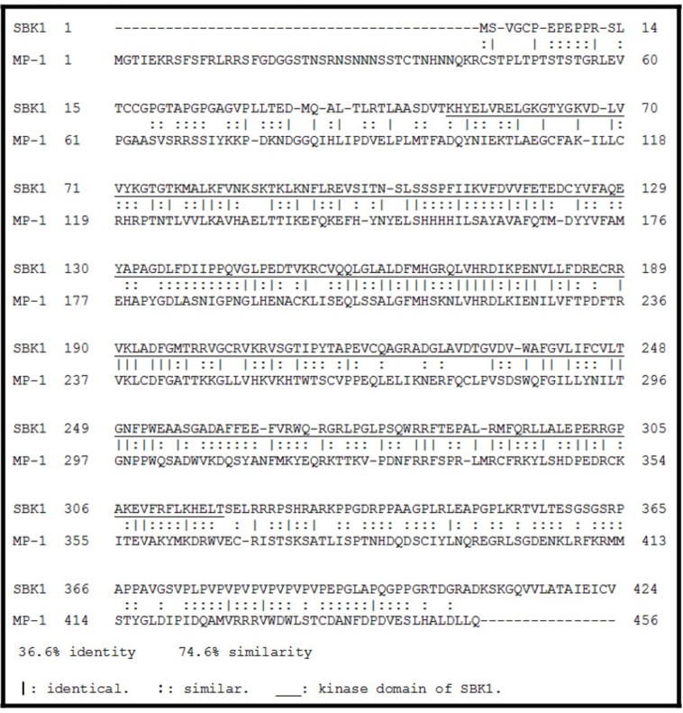 Figure 1—figure supplement 4.