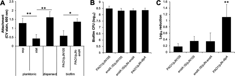 FIG 6