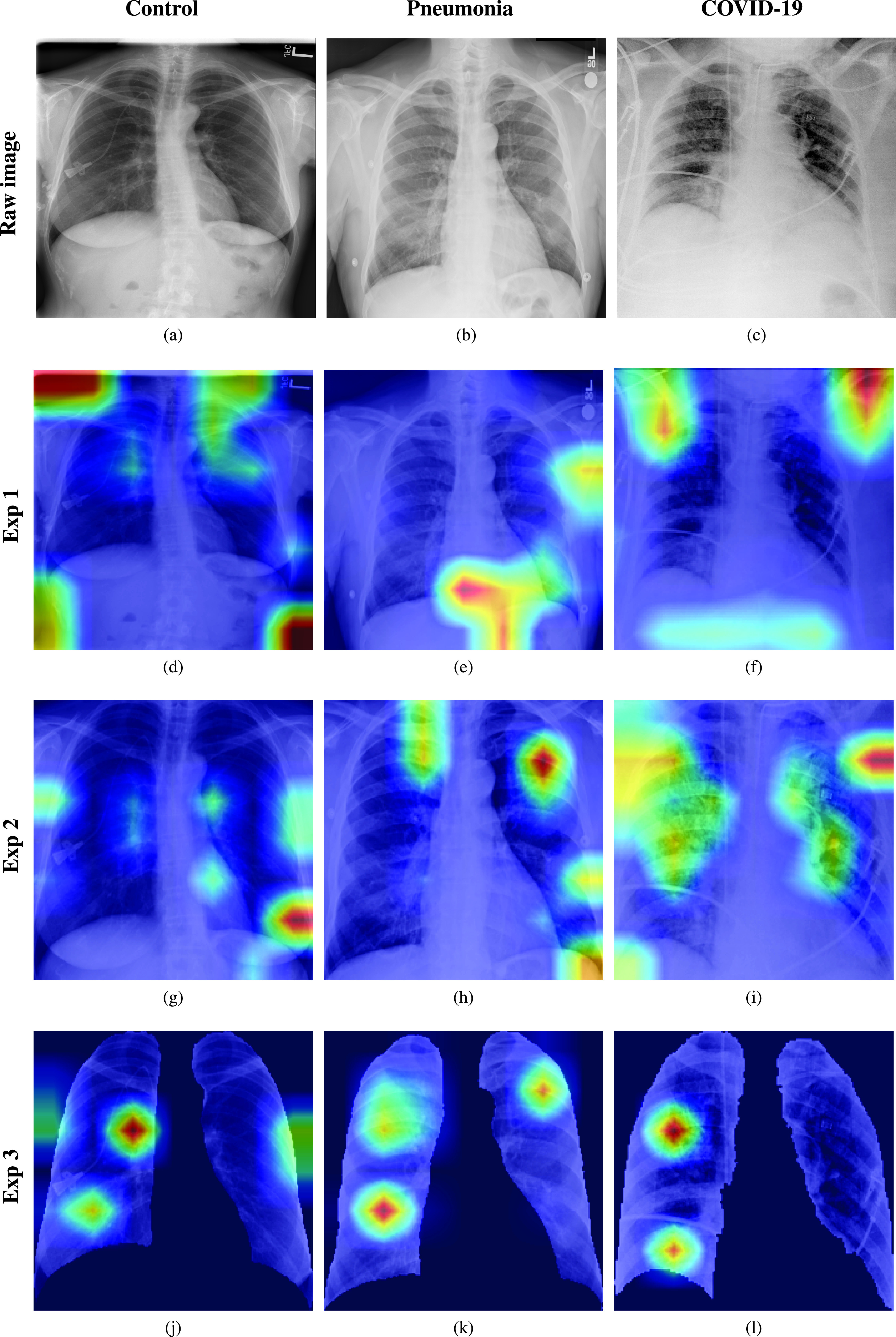 FIGURE 1.