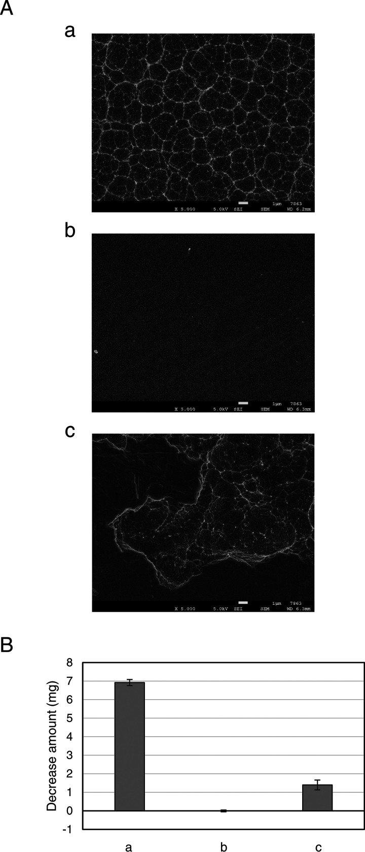 FIG 6