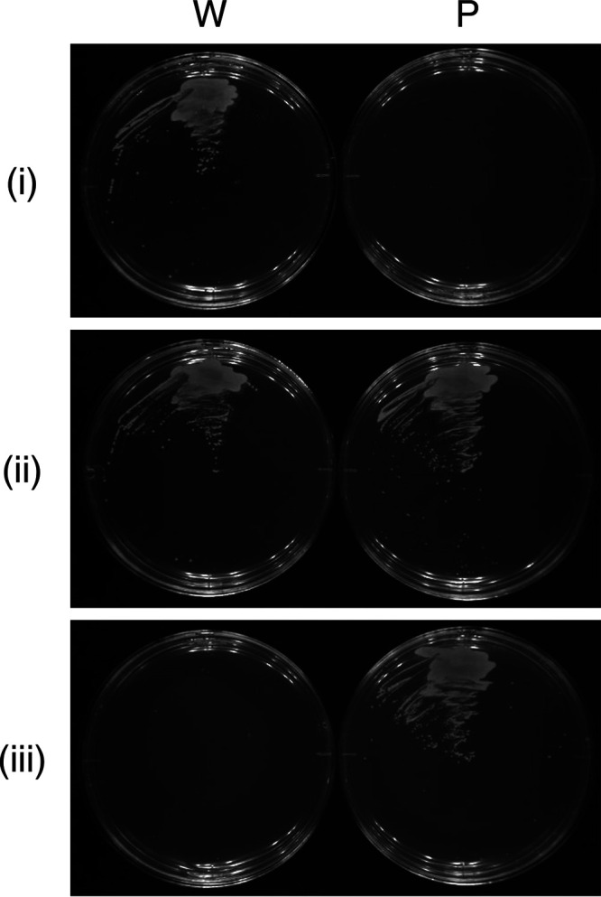 FIG 3