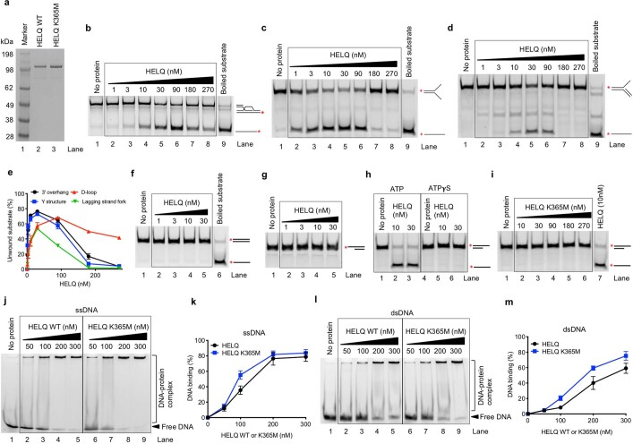 Extended Data Fig. 1