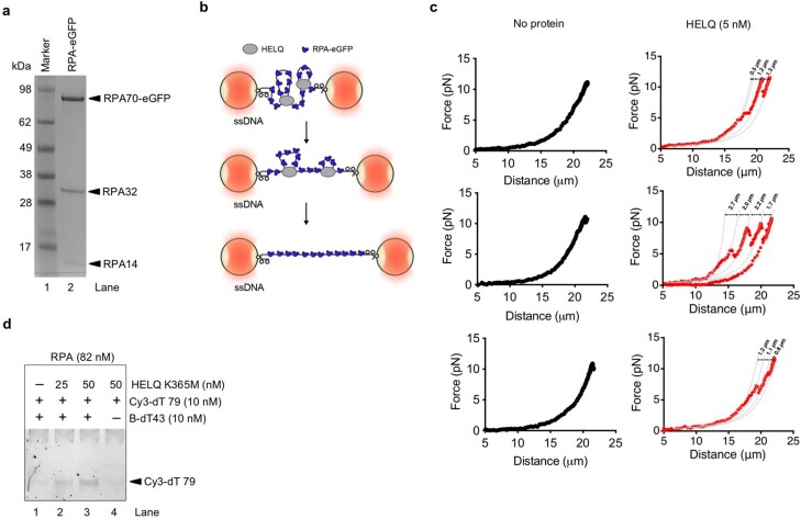 Extended Data Fig. 8