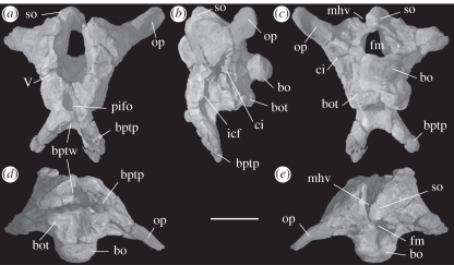 Figure 2.