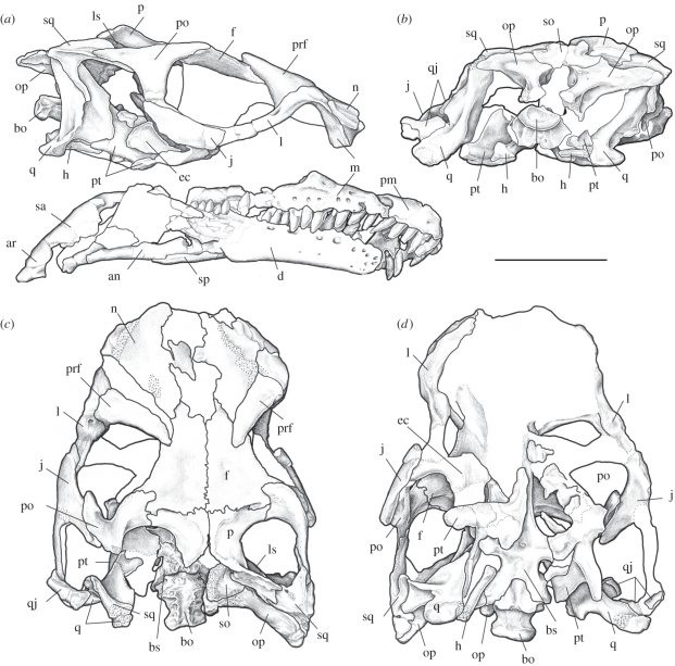 Figure 4.