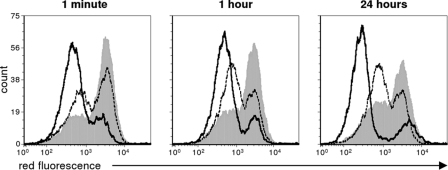 Fig 5