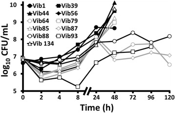 Fig. 3