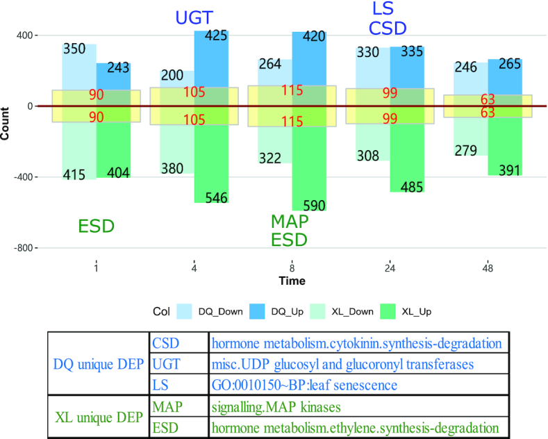 Figure 2: