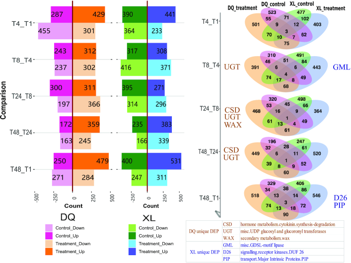 Figure 4: