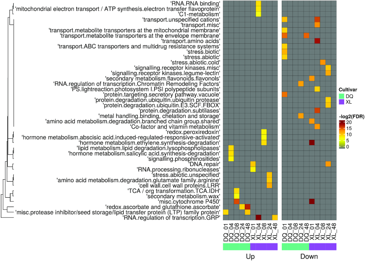 Figure 3: