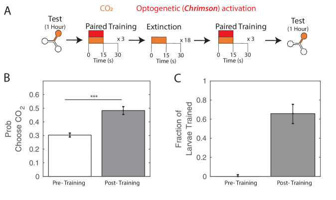 Figure 3—figure supplement 1.