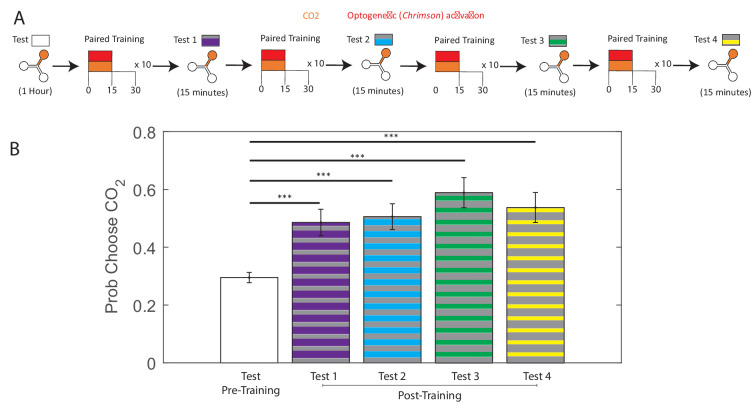 Figure 3—figure supplement 3.