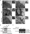 FIG 4
