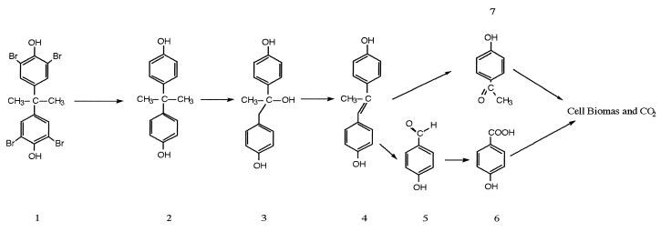 FIG. 8