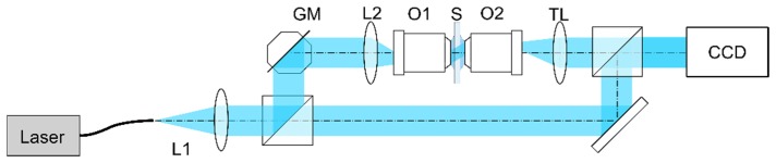 Fig. 11