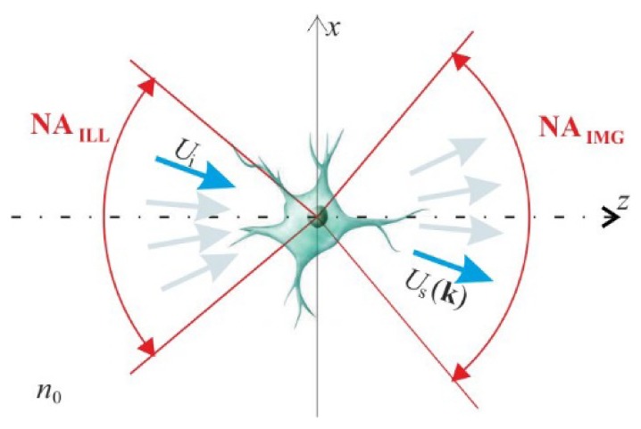 Fig. 1