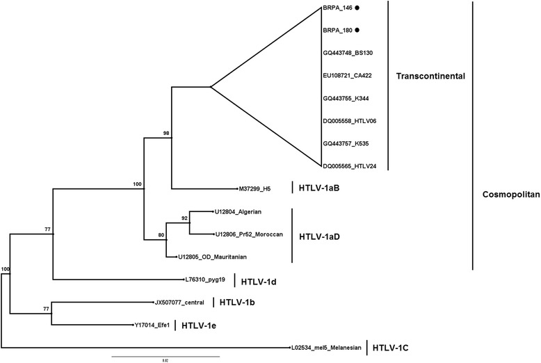 Fig. 1