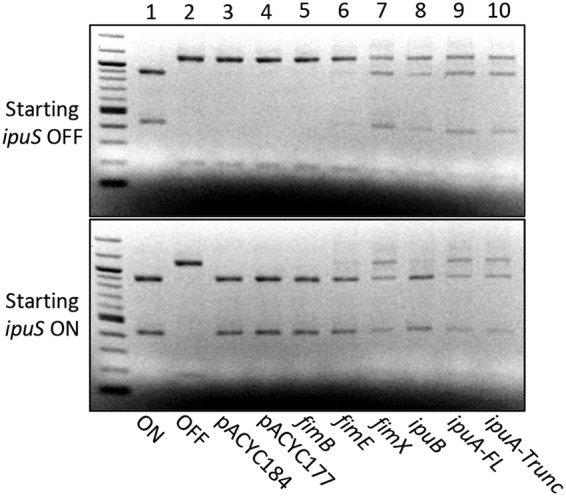 FIG 3 