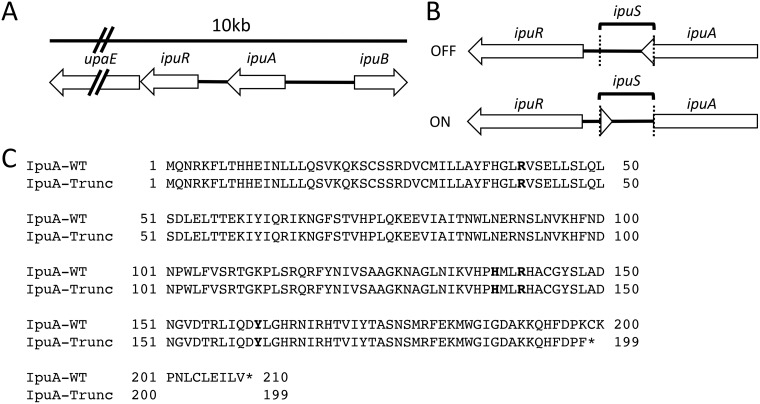 FIG 1 