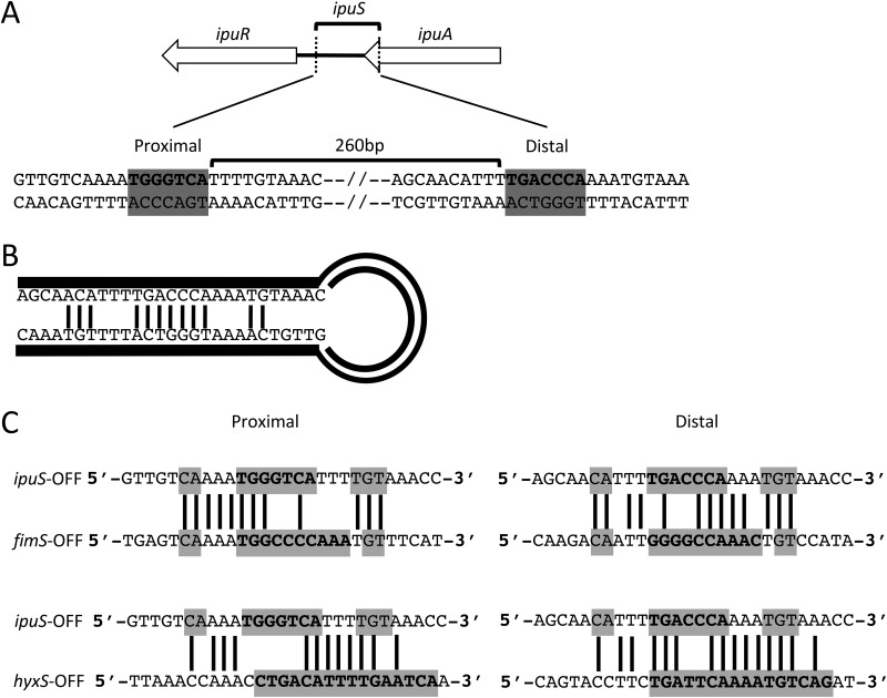 FIG 2 