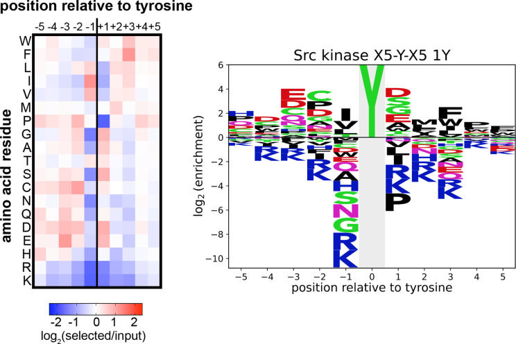 Figure 1—figure supplement 3.