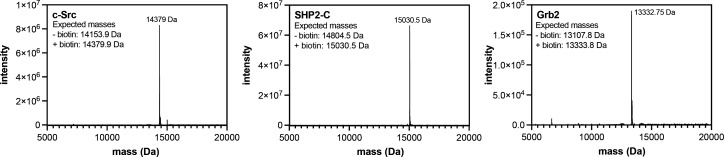 Figure 6—figure supplement 1.