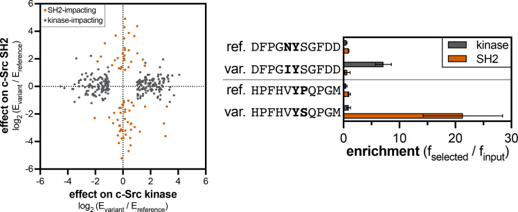 Figure 6—figure supplement 8.