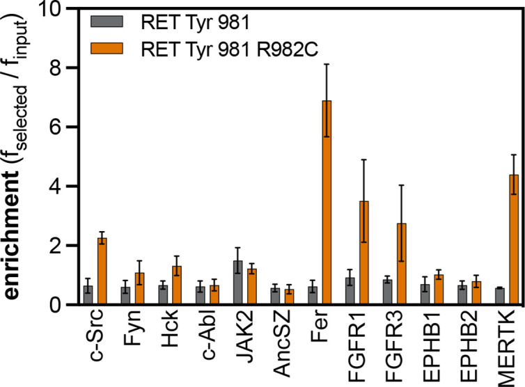 Figure 4—figure supplement 8.