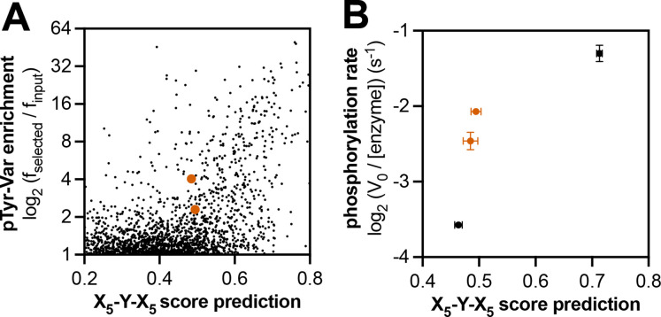 Figure 5—figure supplement 1.