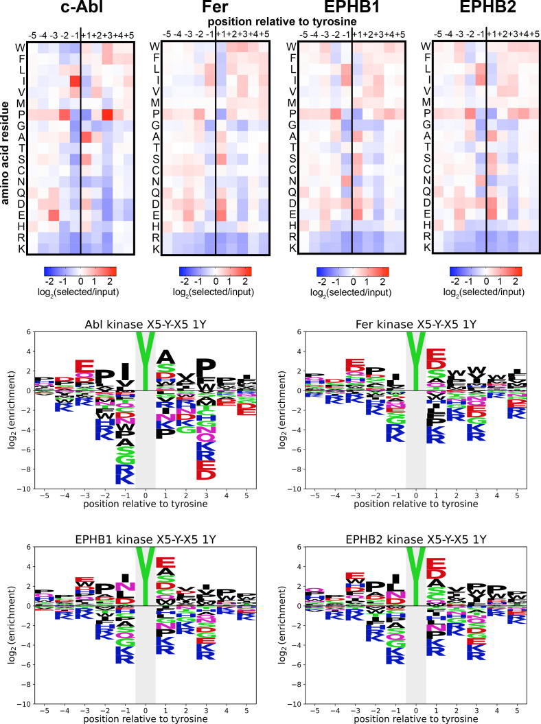 Figure 2—figure supplement 1.