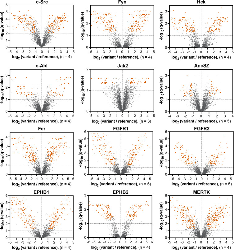 Figure 4—figure supplement 6.