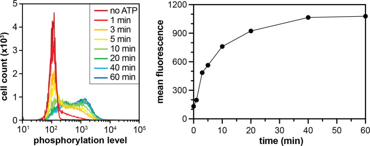 Figure 1—figure supplement 2.